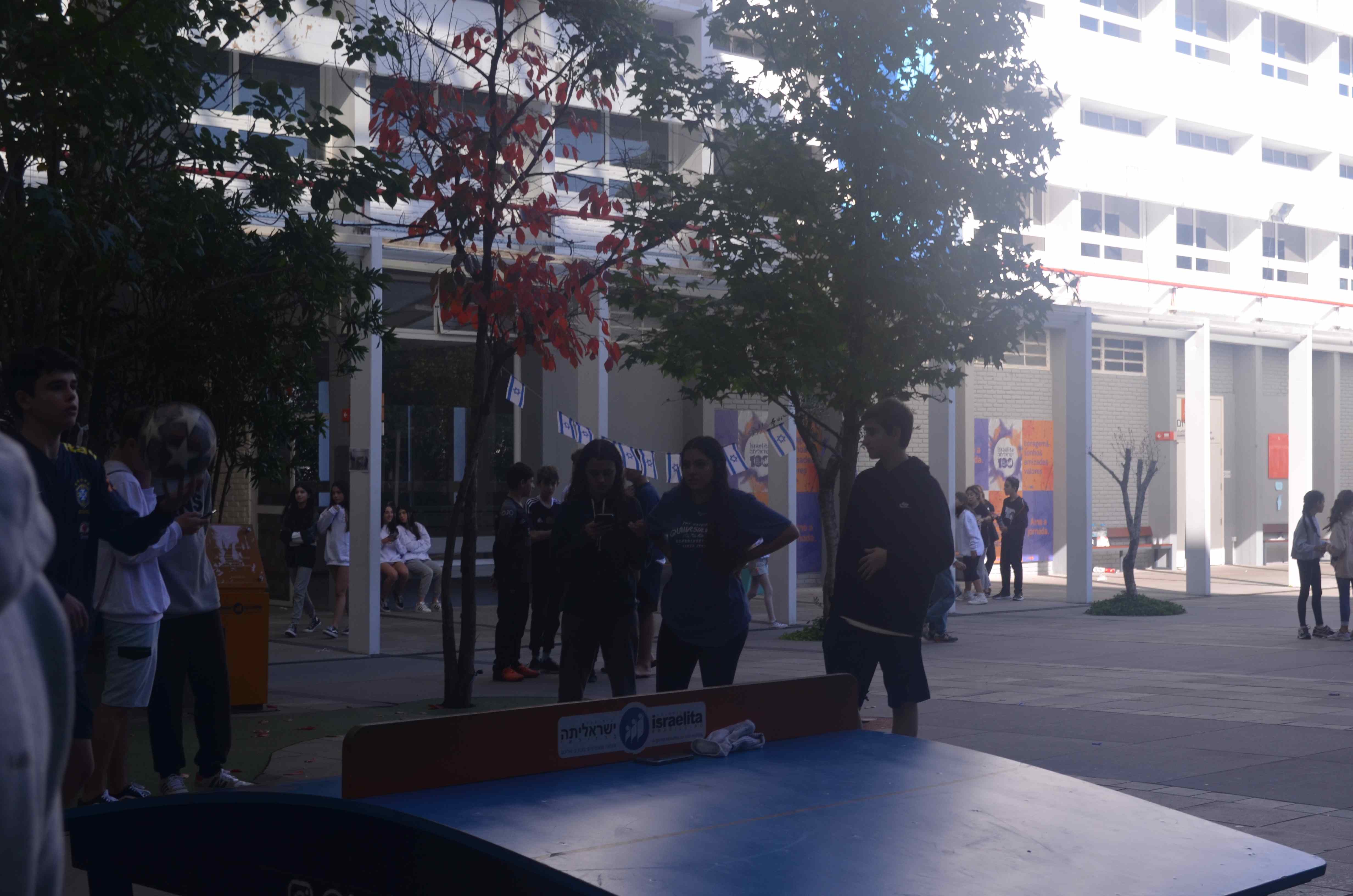 DSC_0208.JPG